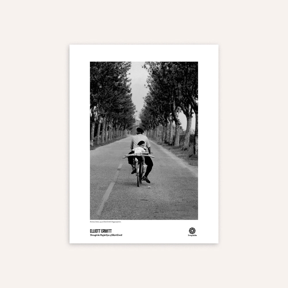 Poster with black and white photograph of a person riding a bicycle down a tree-lined road.