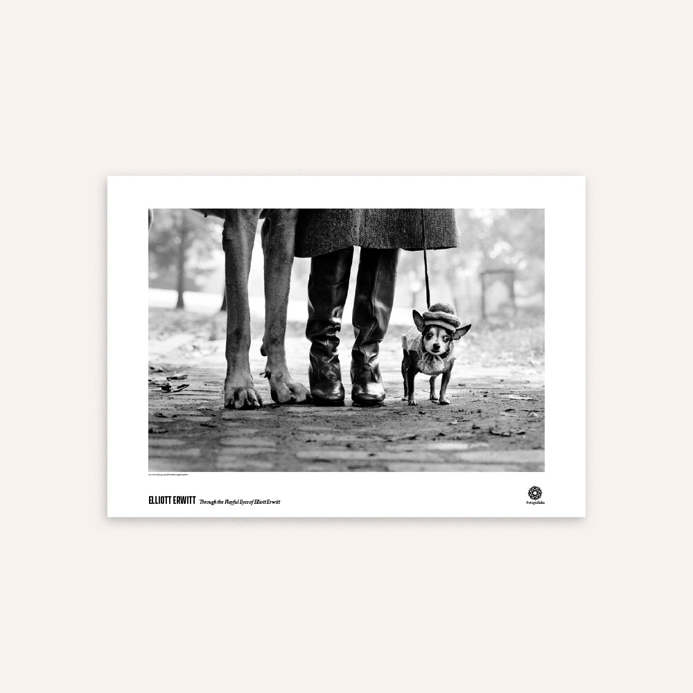 Poster of a black and white photo of a dog on a leash with people's legs in the background,.