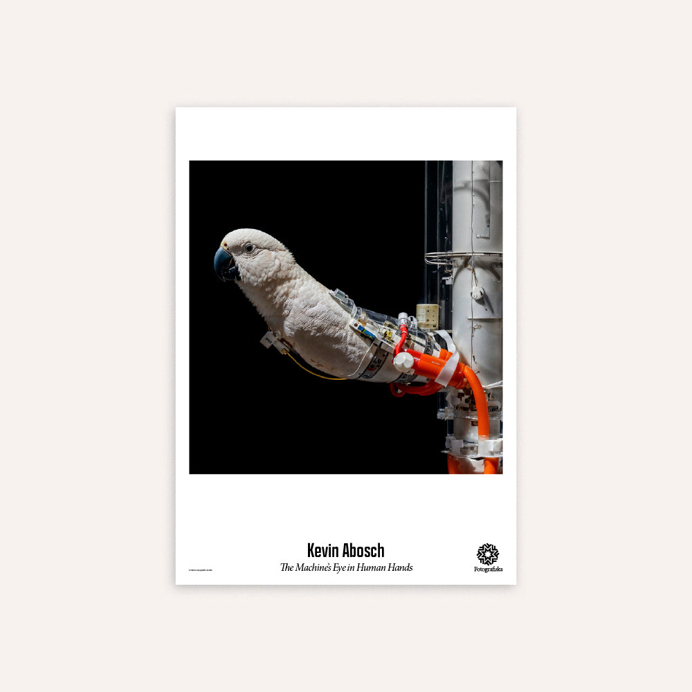Freedom, 2025 Poster