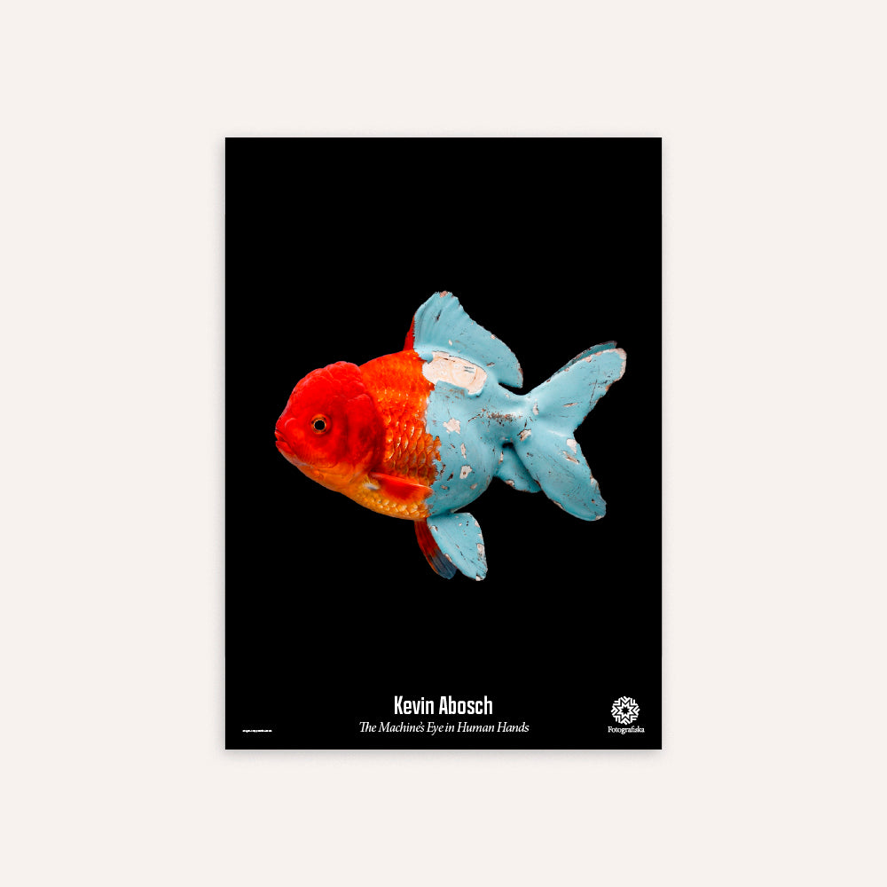 Goldfish, 2025 Poster