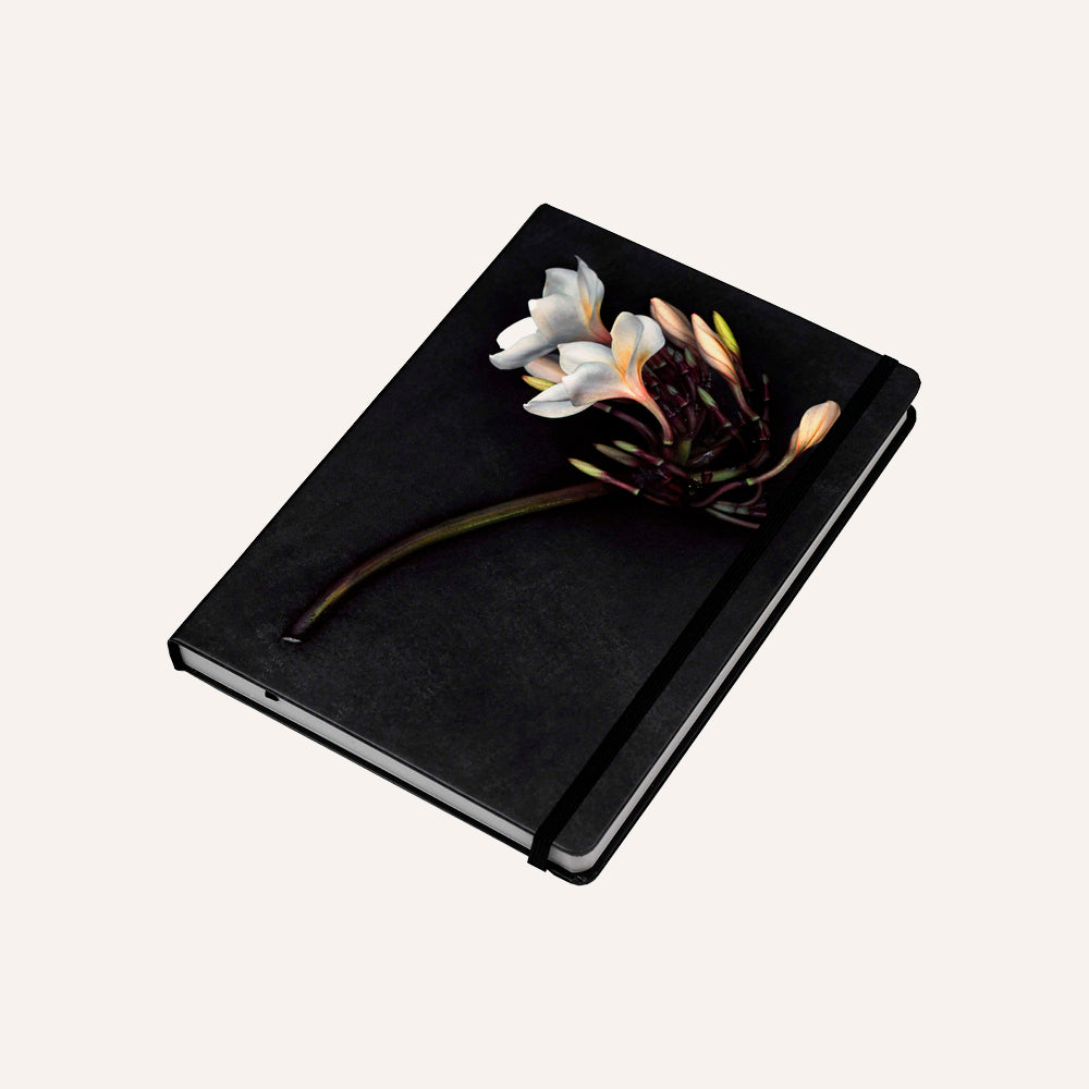 Notebook, Albert Watson: Orchid
