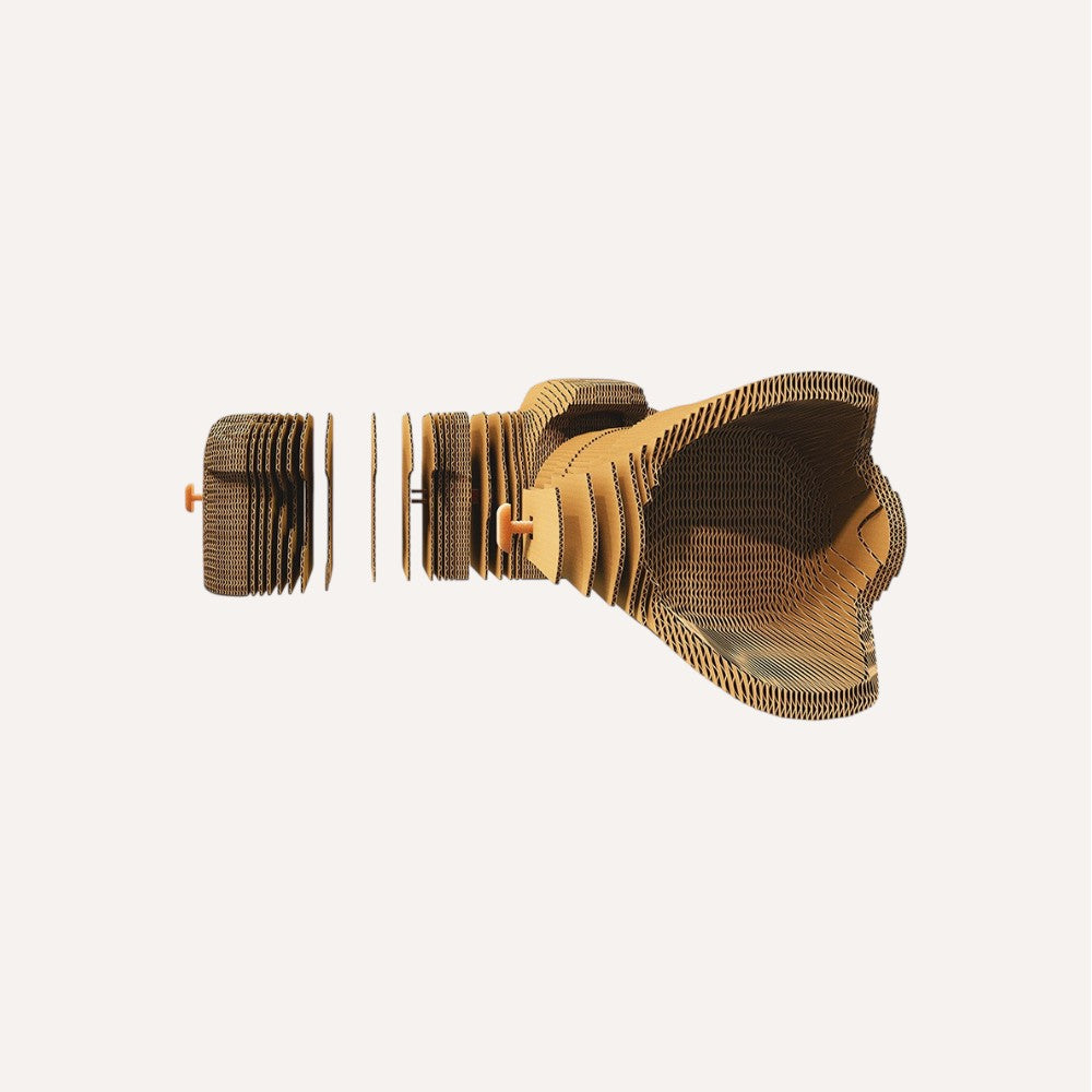 Cartonic 3D Puzzle, Kamera