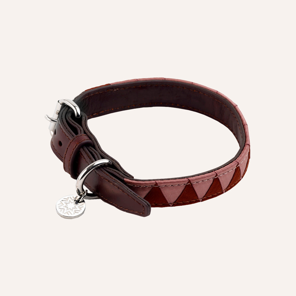 Brown leather dog collar with a silver tag