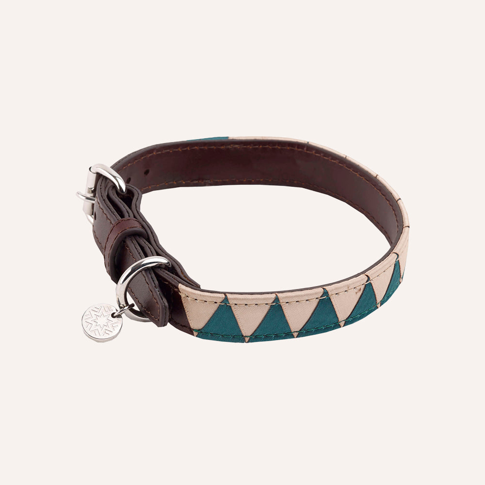 Dog Collar, Hunter Candid Ginger