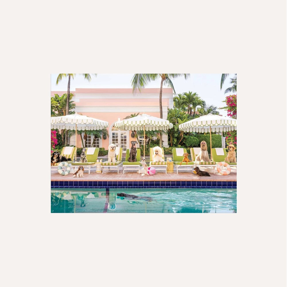 Gray Malin Palm Beach - 1000 Piece Puzzle