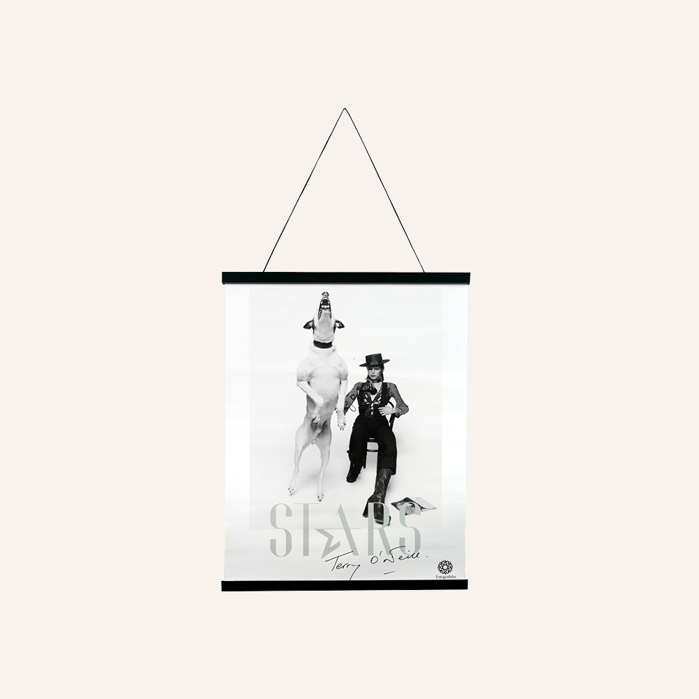 Poster Hanger, Black