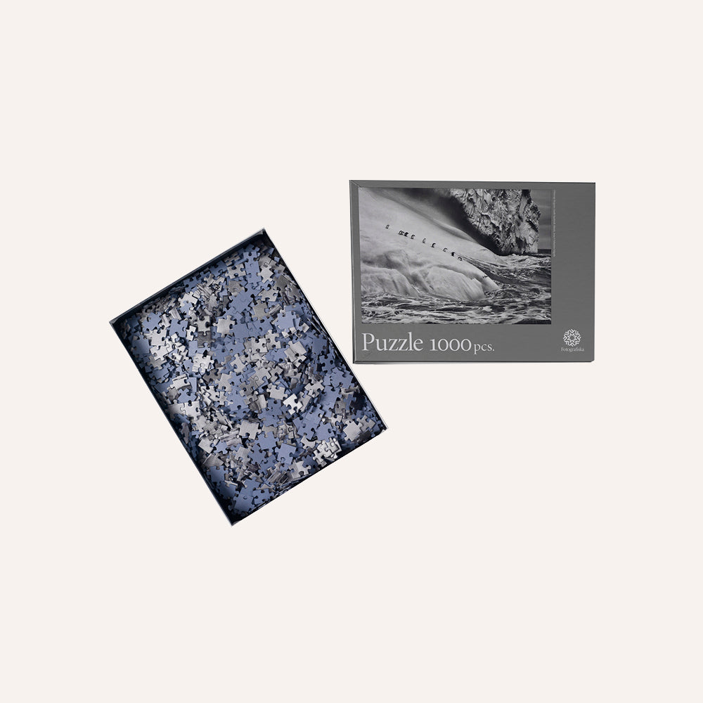 Puzzle, Chinstrap Penguins