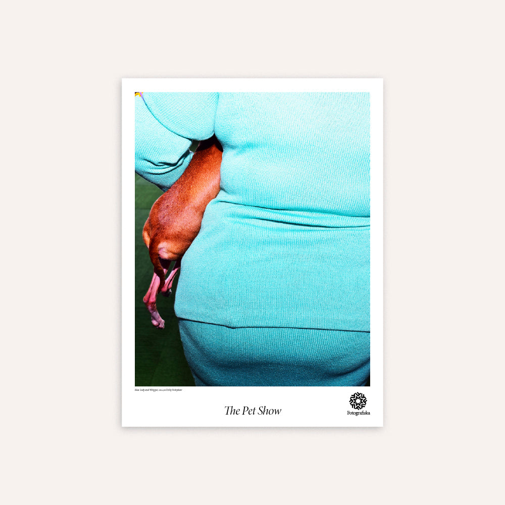 Blue Lady and Whippet Poster