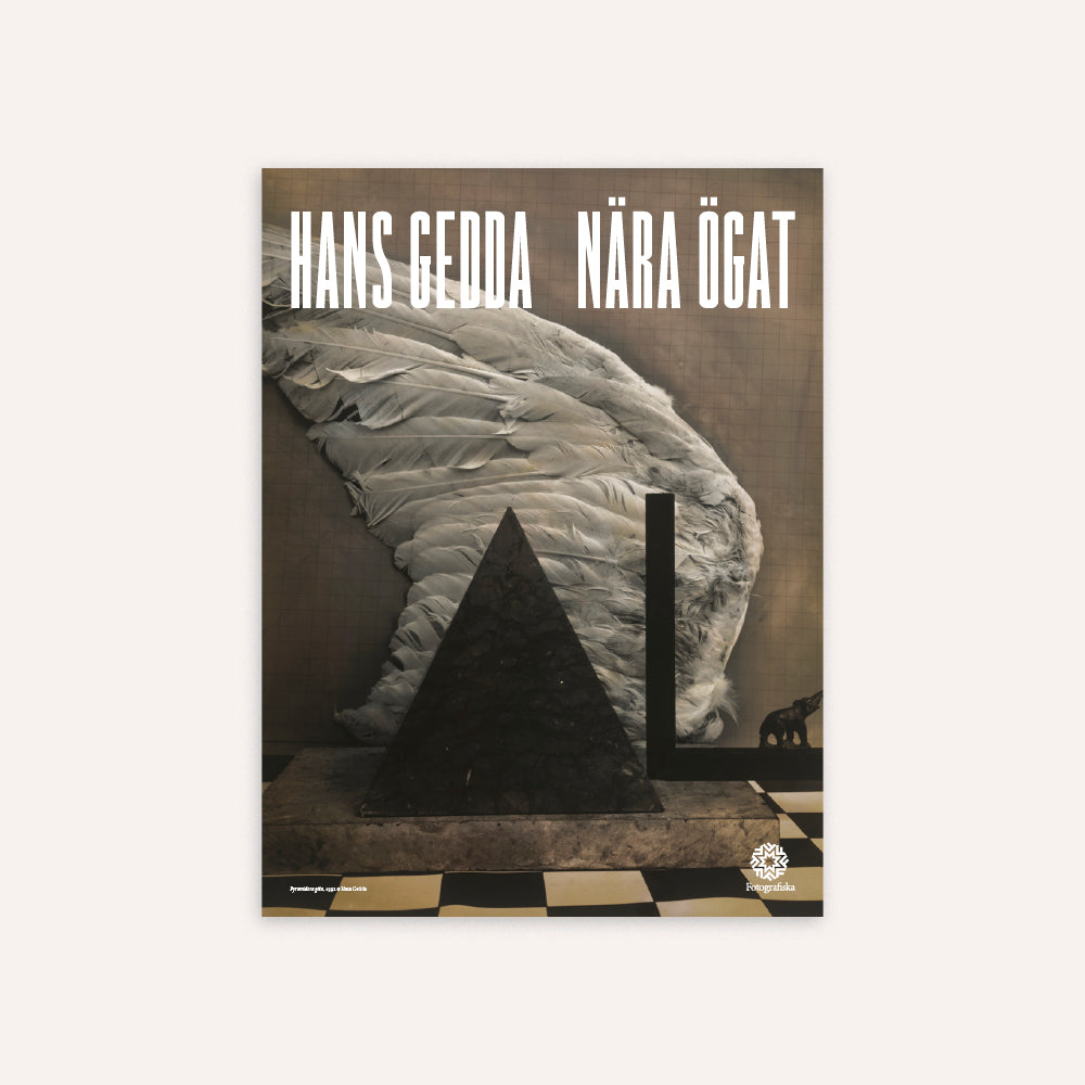 Pyramidens gåta Poster