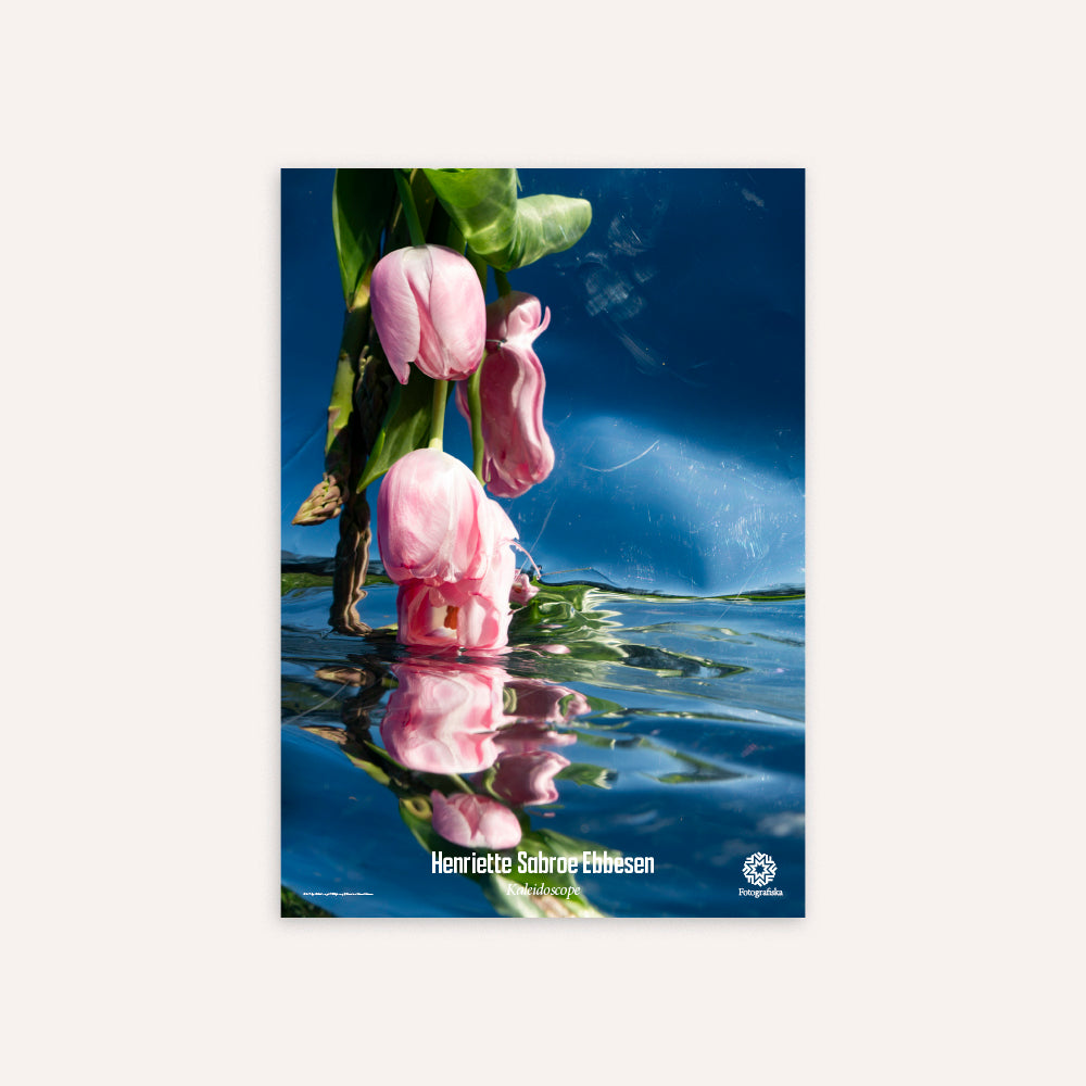Pink Tulips, limited Poster