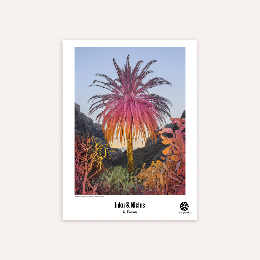 4K Ultra HD II (Tropical) Poster - Inka & Niclas - Fotografiska