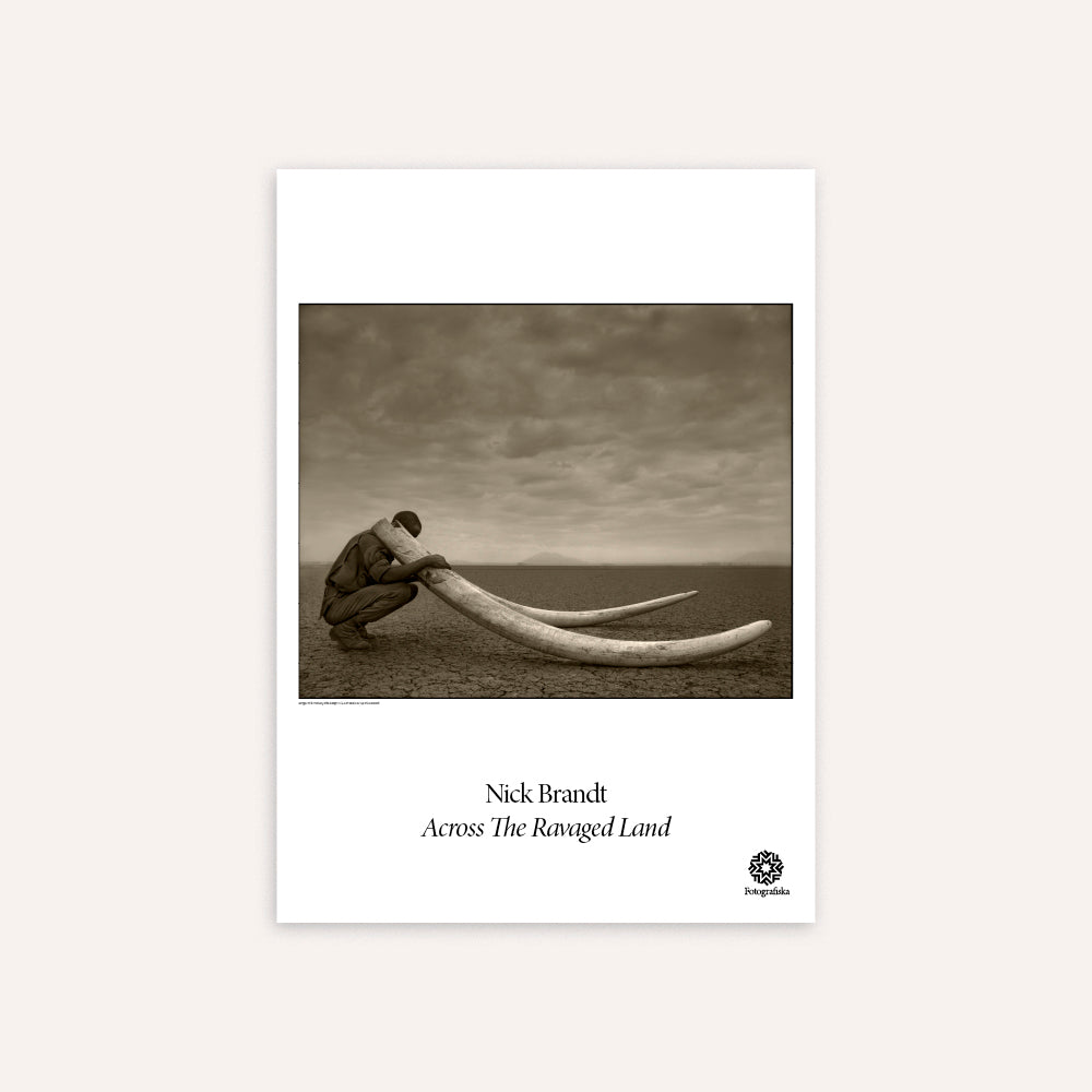 Ranger with Tusks of Killed Elephant Poster