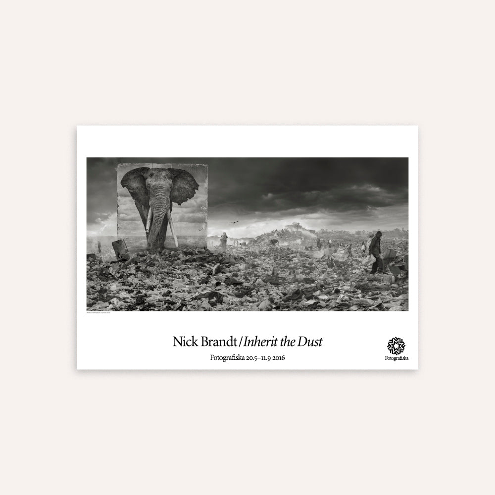 Wasteland with Elephant Poster