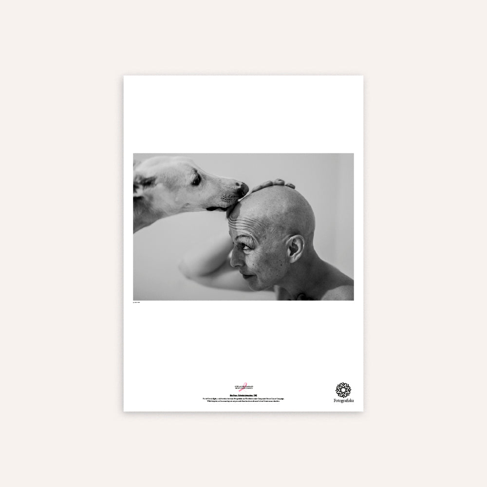 Cuidados intensivos, 2015 Poster