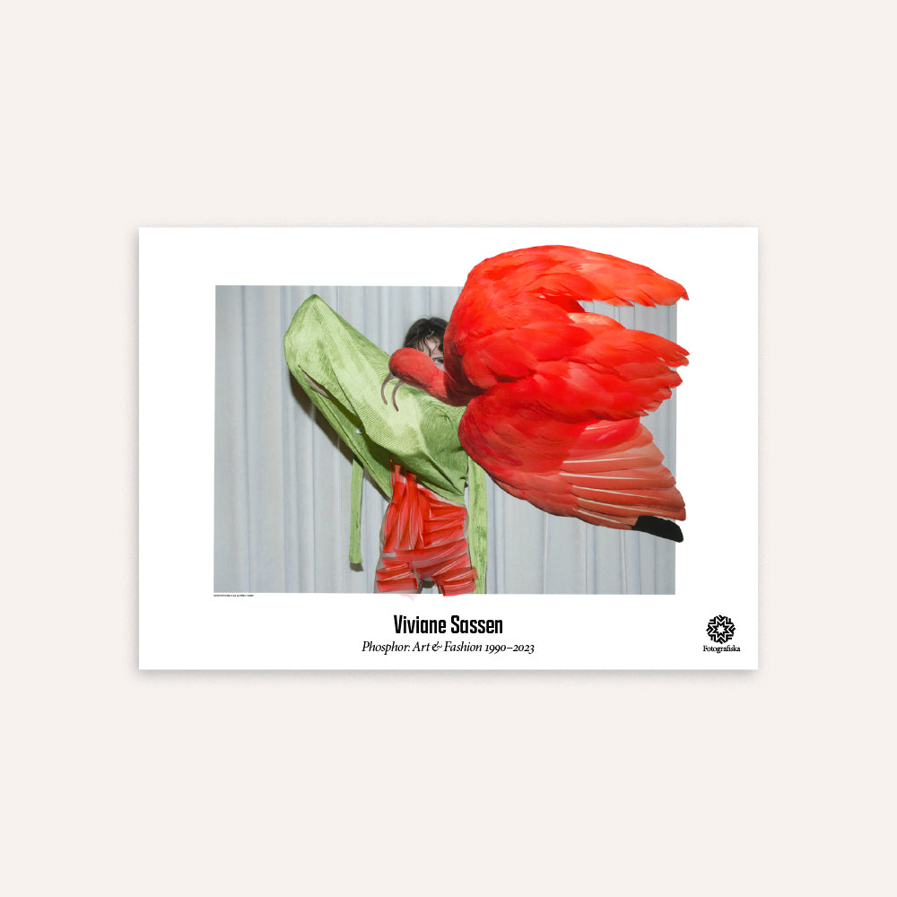 Eudocimus Ruber Poster