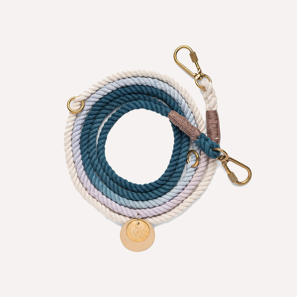 Multicolored dog leash in blue with gold hardware. 