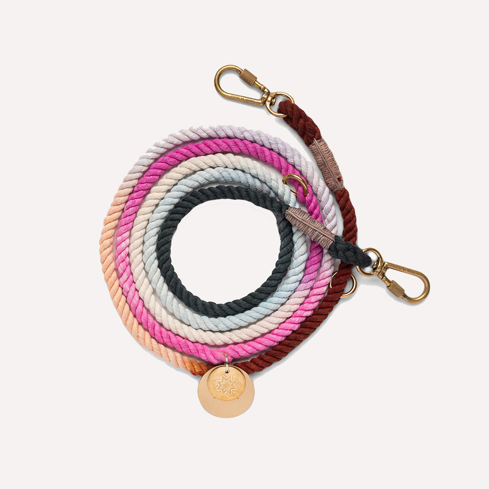Multicolored dog leash in rainbow colors with gold clasp and tag.