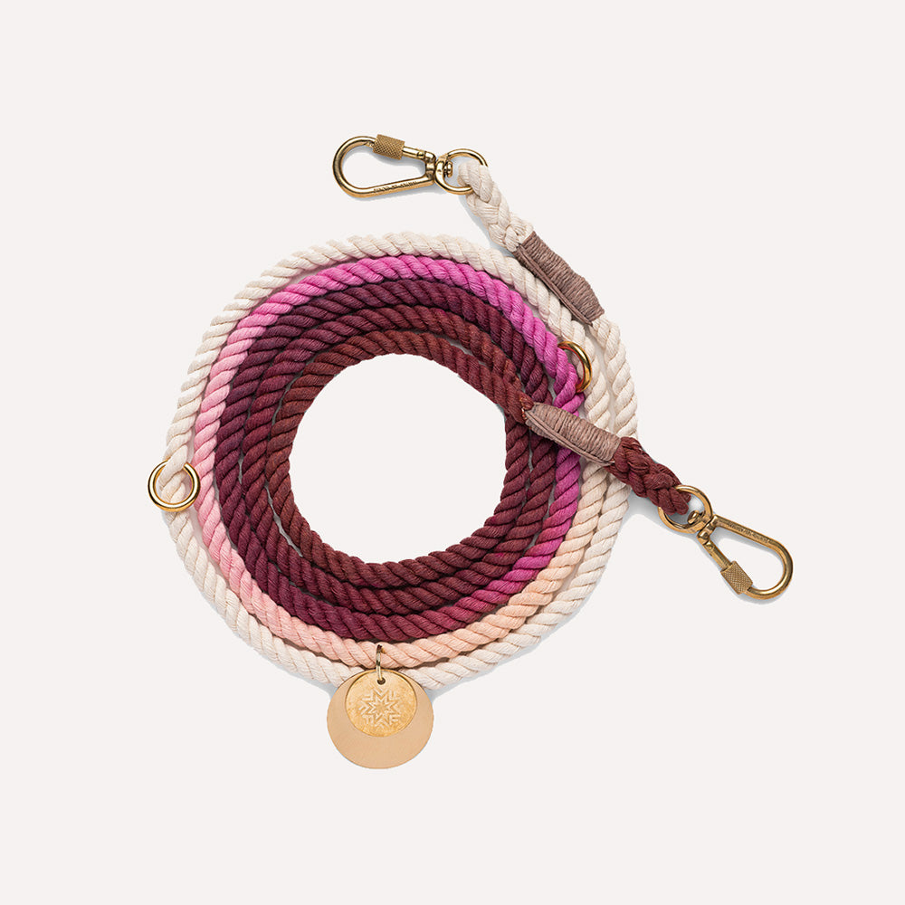 Multicolored dog leash in warm red and pink colors with gold clasp.