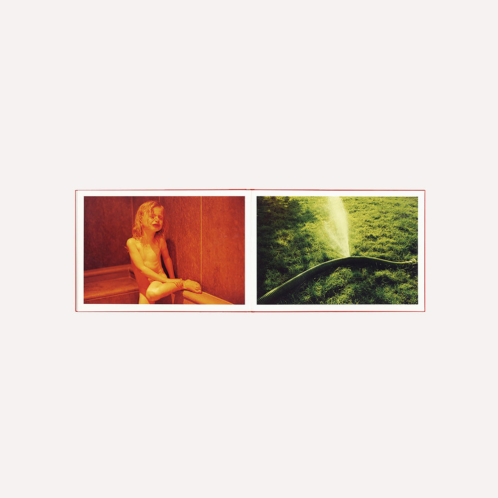 Showing content for Miles Aldridge book 'Other pictures' with two contrasting scenes: a child crying on the left and a lawn with a garden hose spraying water. 